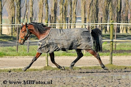 _MBF6730.jpg