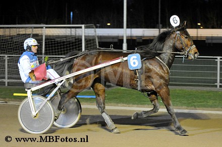 Koers 2. Cavalli Starlake3.jpg