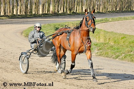 _MBF8095.jpg