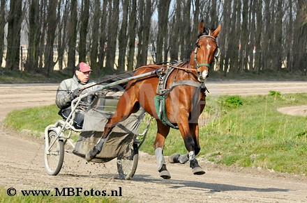 _MBF0542.jpg