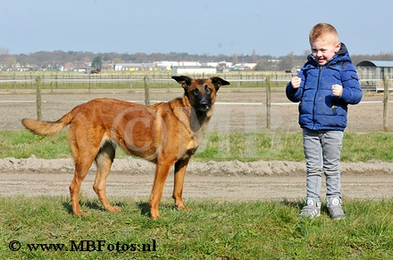 _MBF0633.jpg