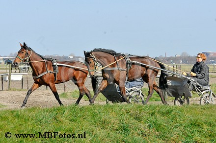 _MBF0663.jpg