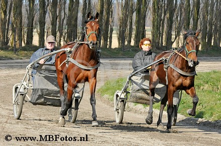 _MBF0677.jpg