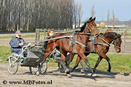 _MBF0679.jpg