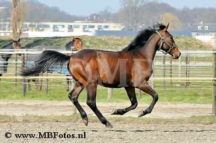 _MBF0814.jpg