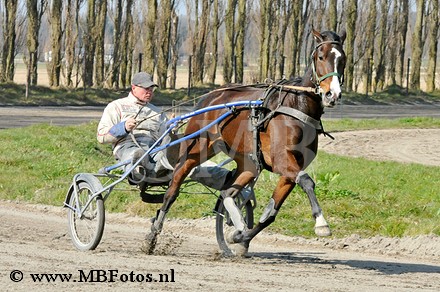 _MBF0886.jpg