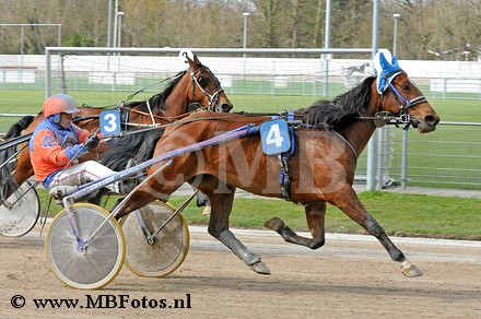 Koers 2. Casimaka1.jpg