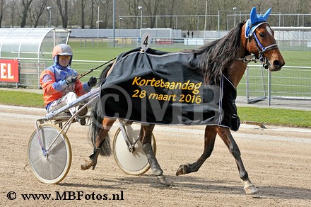 Koers 2. Casimaka4.jpg