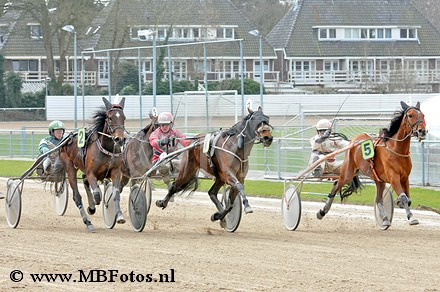 Koers 4. Daisy1.jpg