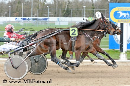 Koers 4. Daisy2.jpg