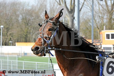 _MBF1690.jpg