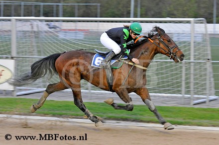 Koers 4. Cas Kievitshof1.jpg