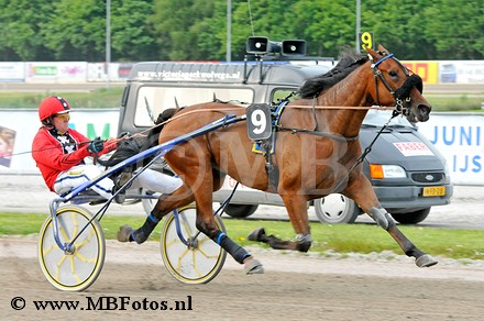 Koers 6. Fat Tony.jpg