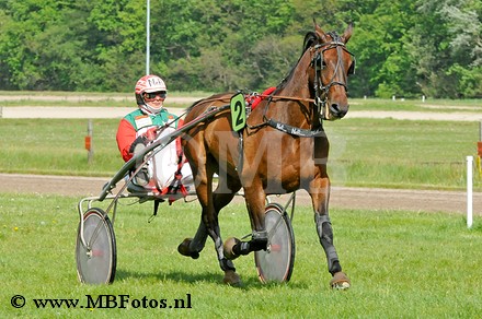 _MBF1817.jpg