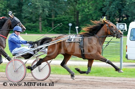 Koers 4. Fonne Pomponne.jpg