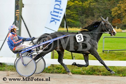 Koers 5. Echo Oldeson1.jpg