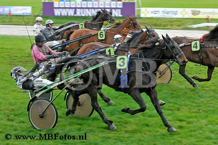 Koers 9. Brazil Elegance1.jpg
