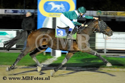 Koers 2. Bizzy Tolli T1.jpg