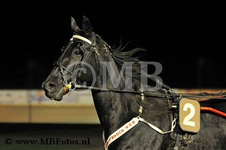 Koers 7. B.B.S. Sugarlight2.jpg