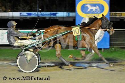 Koers 11. Enrico Star.jpg