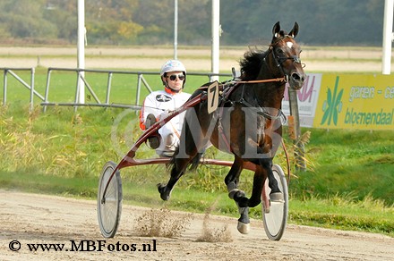 _MBF1227.jpg