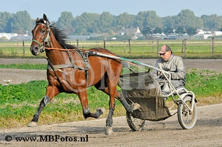 _MBF0080.jpg