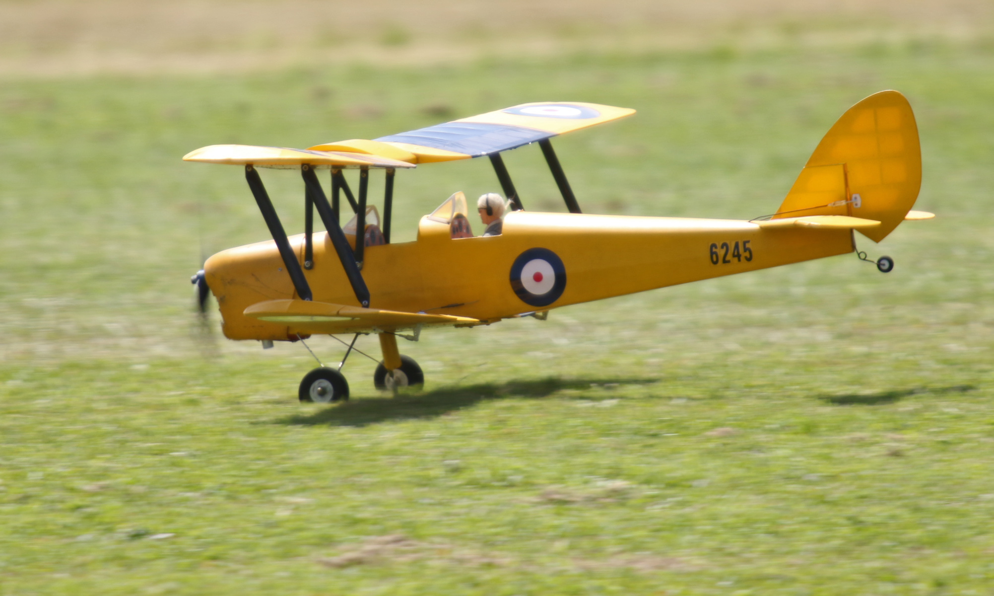 Davids Moth landing, 0T8A7086.jpg