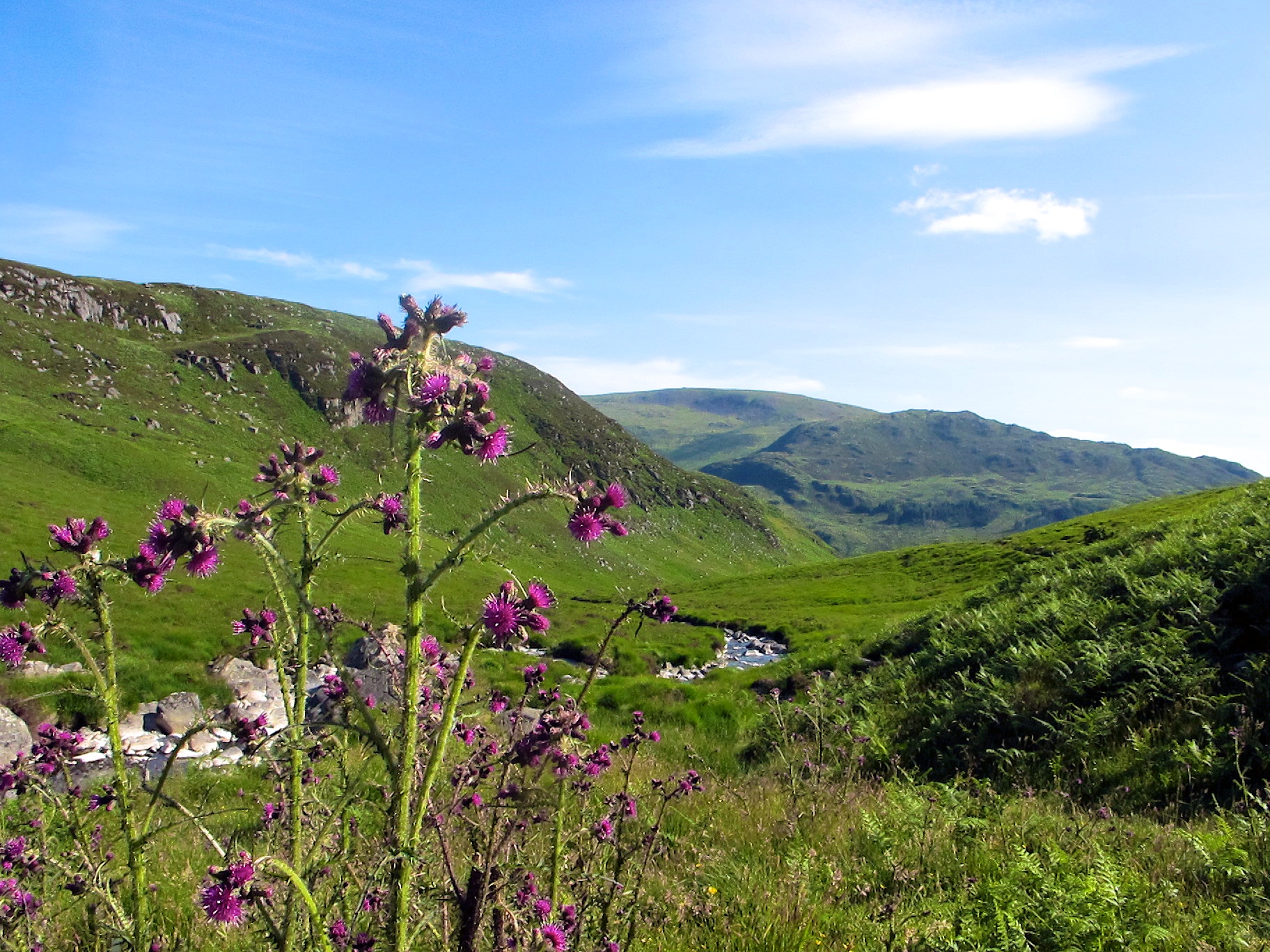 Walk to lochvally 1.jpg