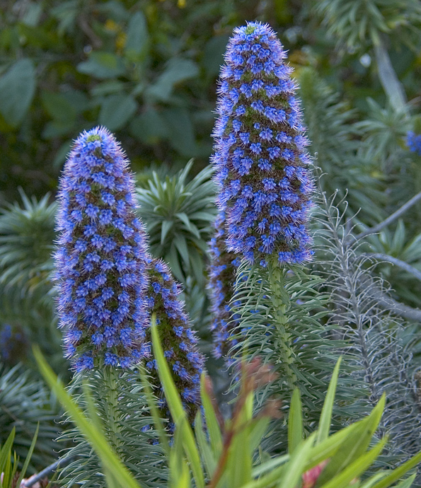 Not sure what this is.