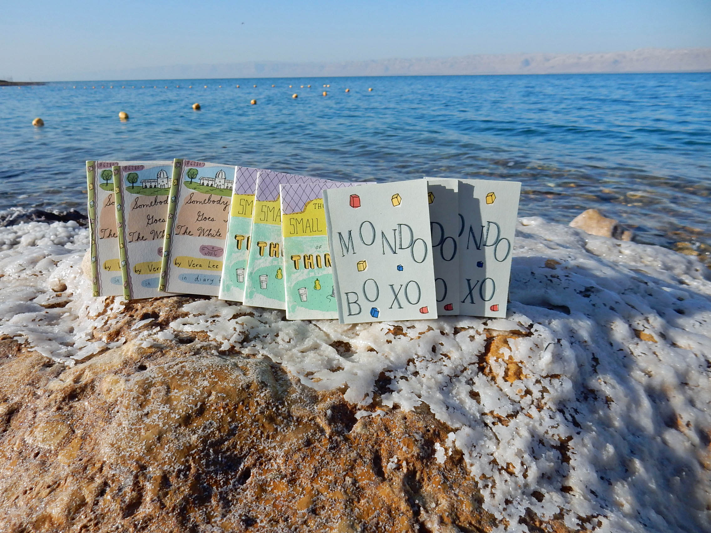 Three Small Books visit the Dead Sea and are joined by Six Other Small Books in November of 2015