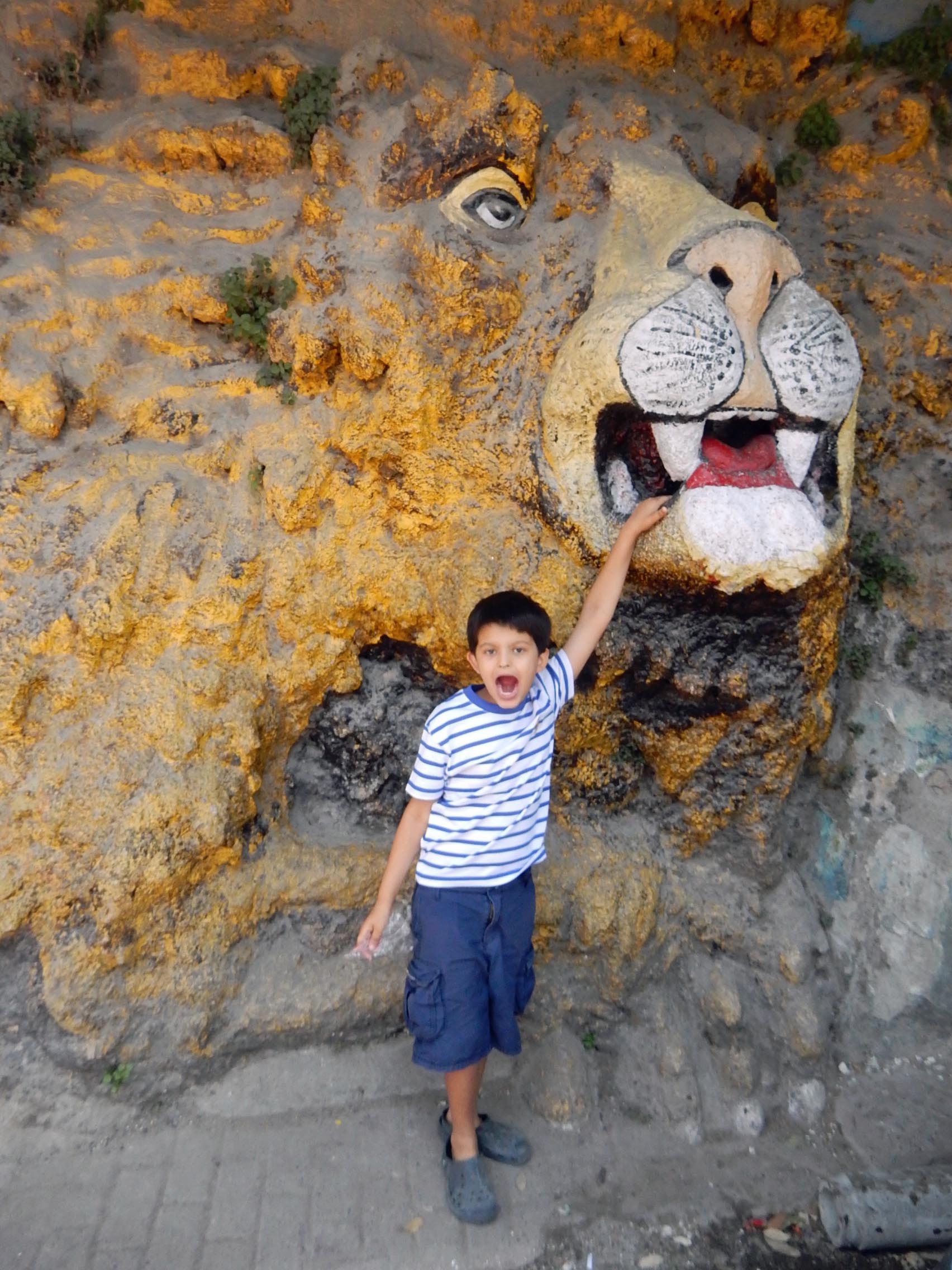 Go to Mussouri and try to put your finger in the lions nose
