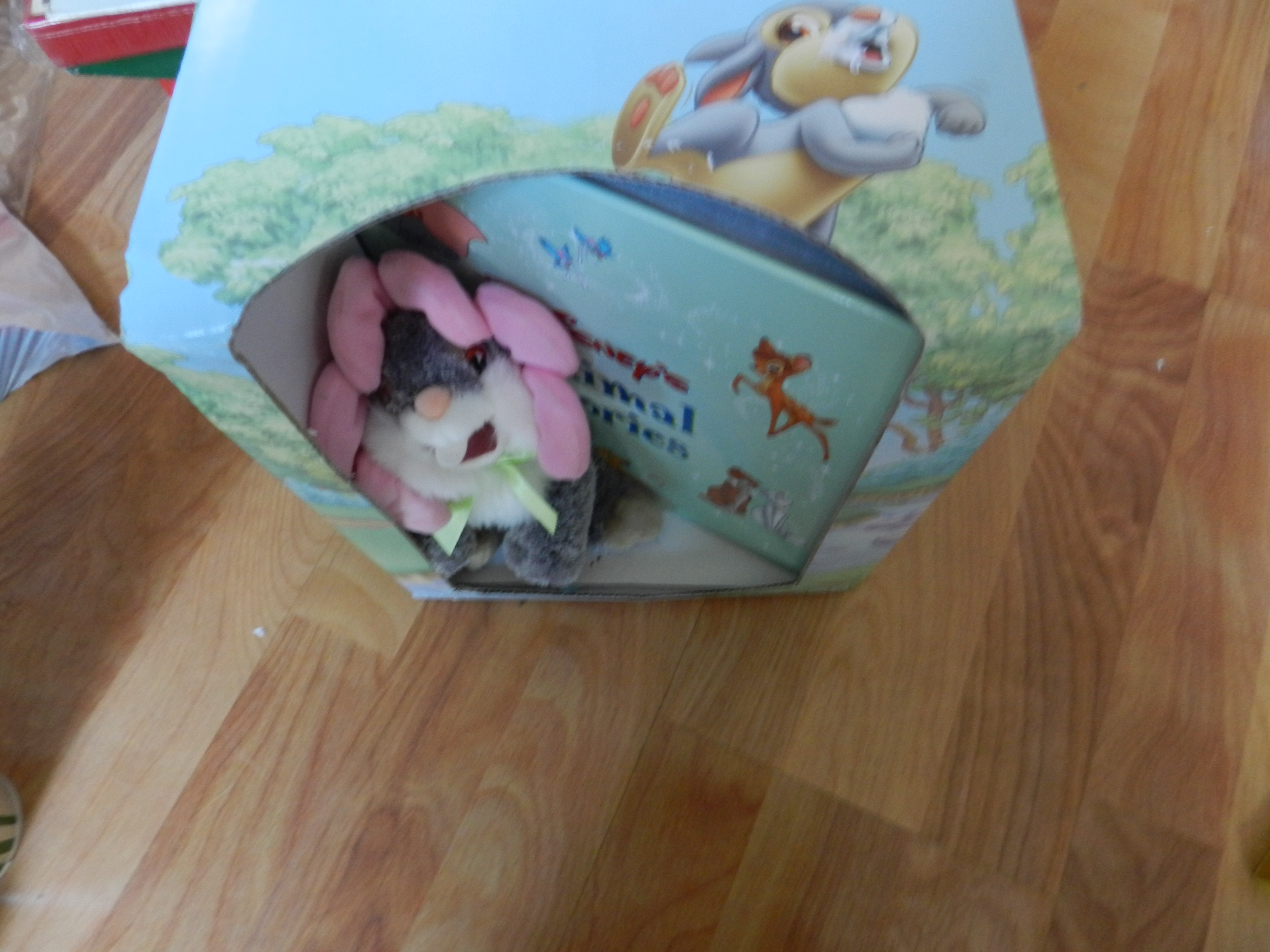 DSCN4524.JPG