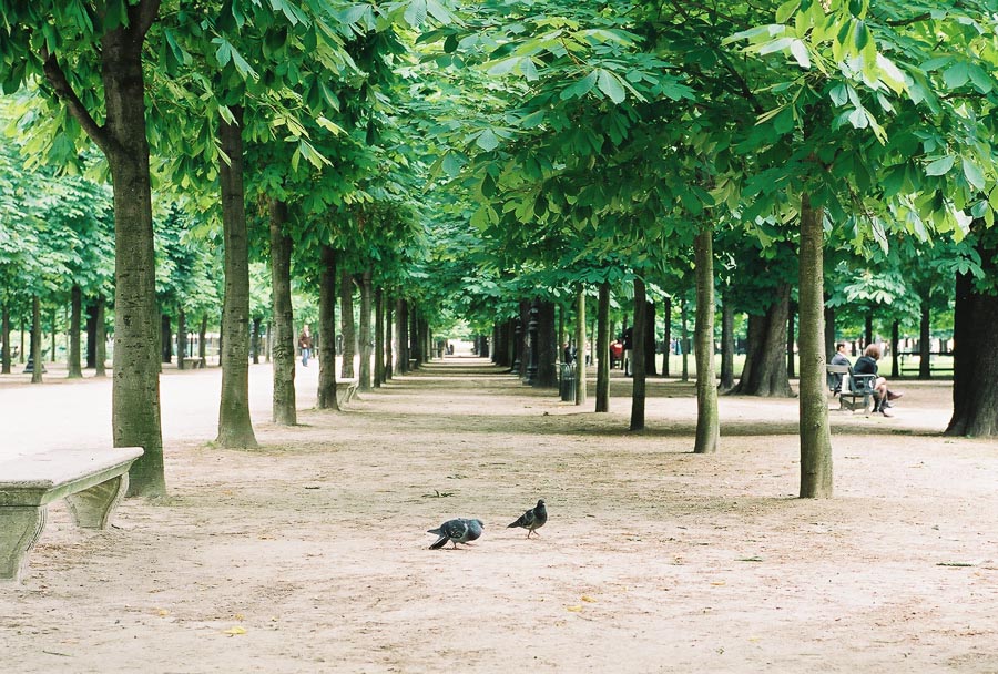 099666-R1-3A.jpg