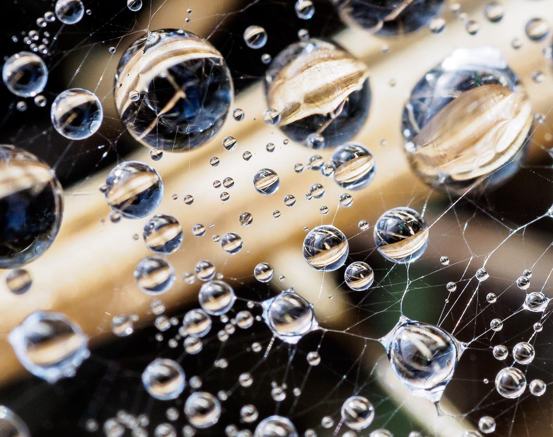 Drops of Jupiter