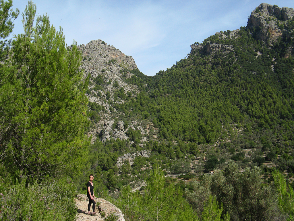 Soller
