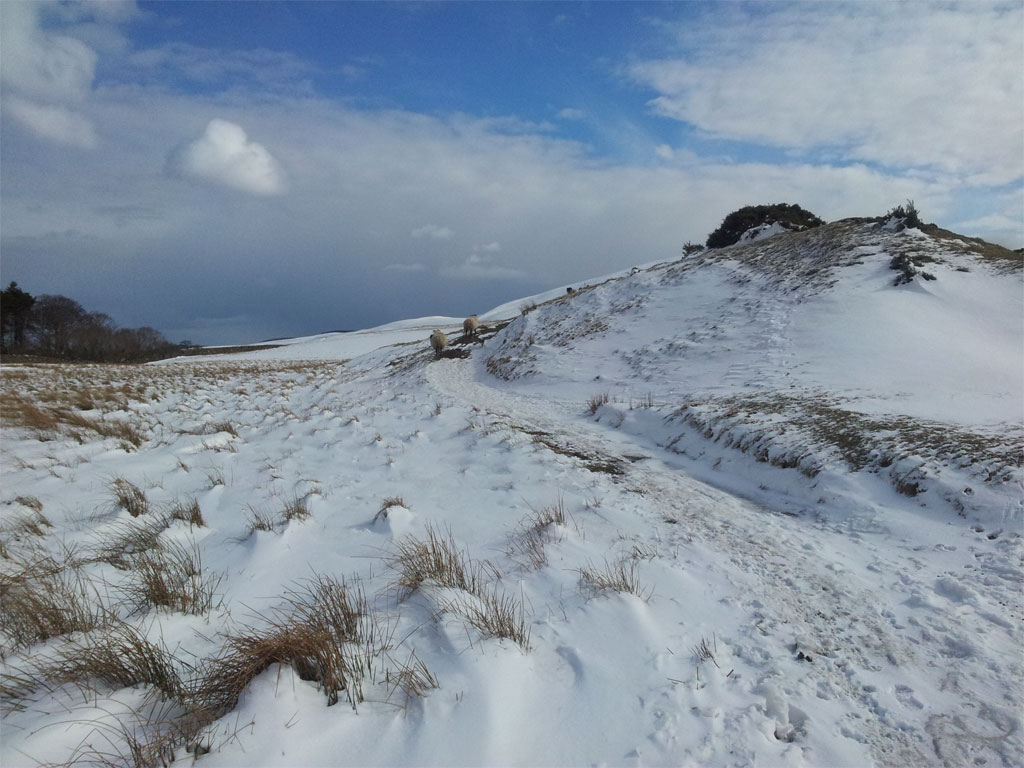 Pentlands