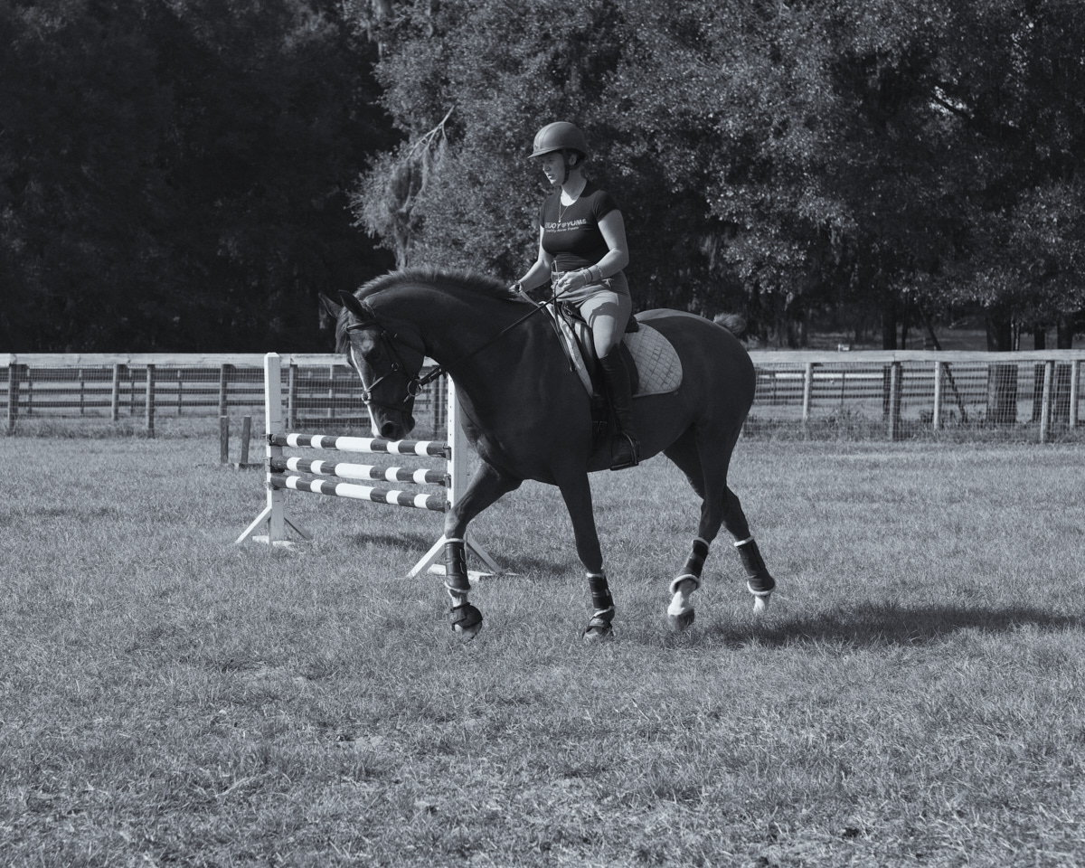 Dressage Frame