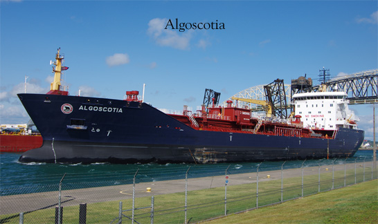 Algoscotia
