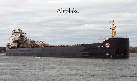 Algolake
