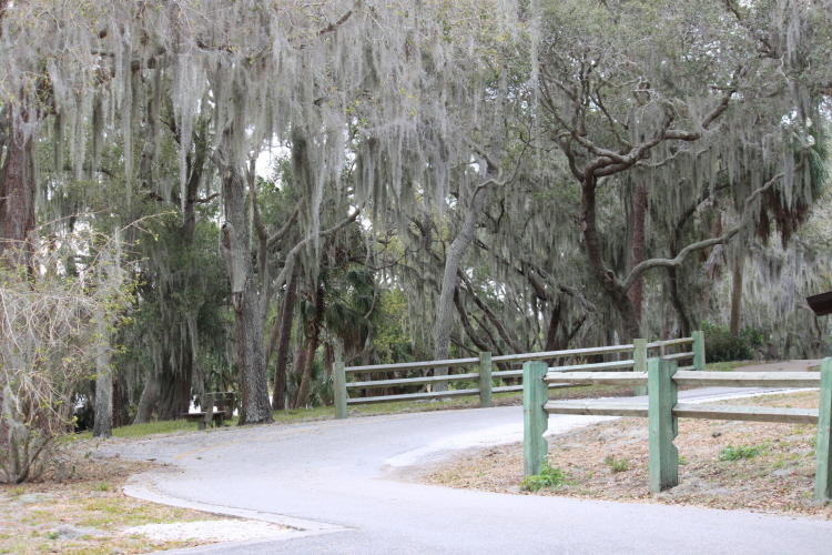 7377.jpg ANDERSON PARK