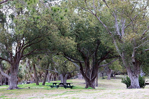 7403.jpg ANDERSON PARK PICNIC AREA