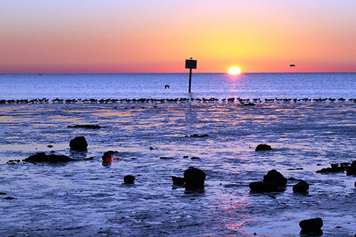 PINE ISLAND 20111023_200A.jpg