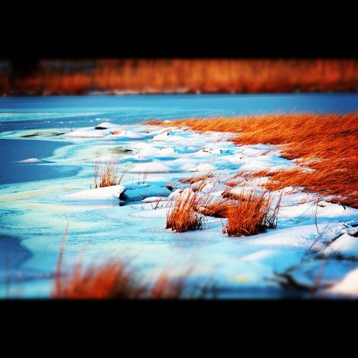  WINTER IN HAMMONASSET CT