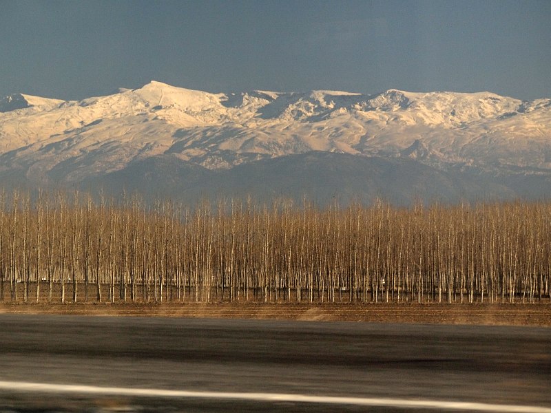 Sierra Nevada from a train near Granada