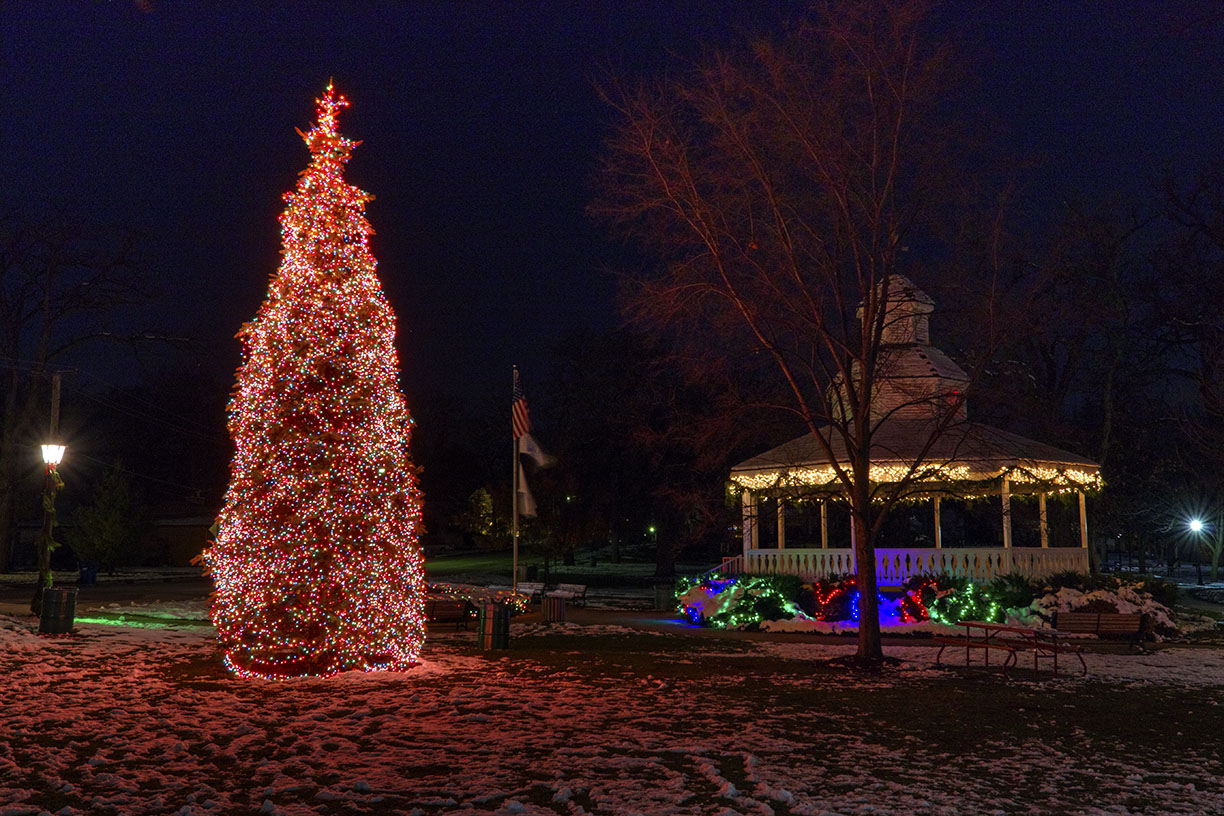Christmas in the Park 