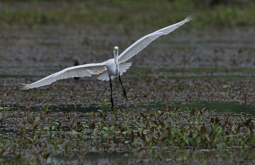 D35_2833.jpg