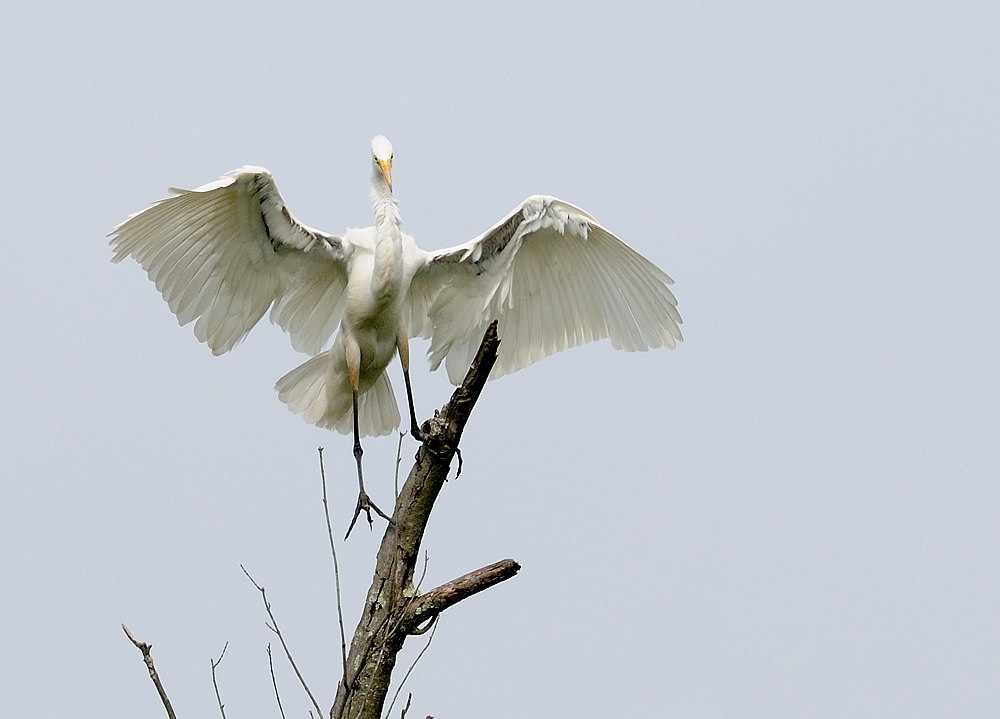 D35_3851.jpg