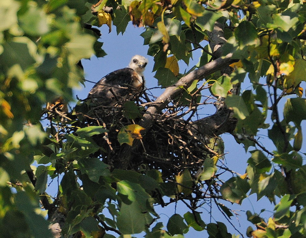 D35_7130.jpg