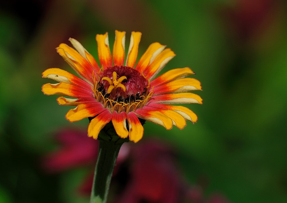 D36_0761.jpg