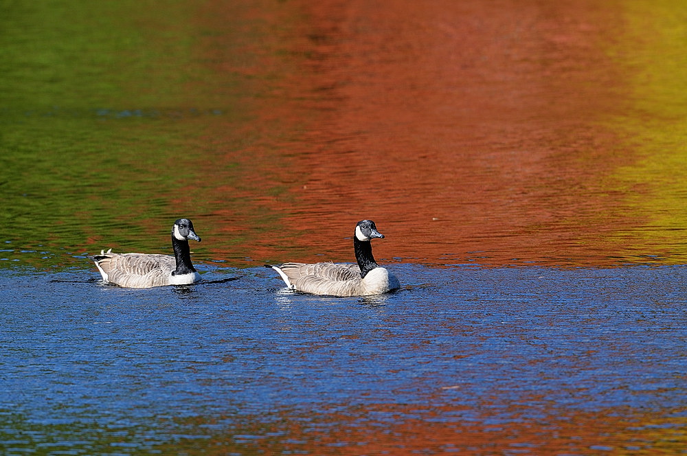 D36_1237.jpg